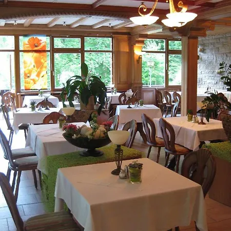 Waldhotel Ehrental Otel