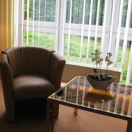 Otel Waldhotel Ehrental 3*