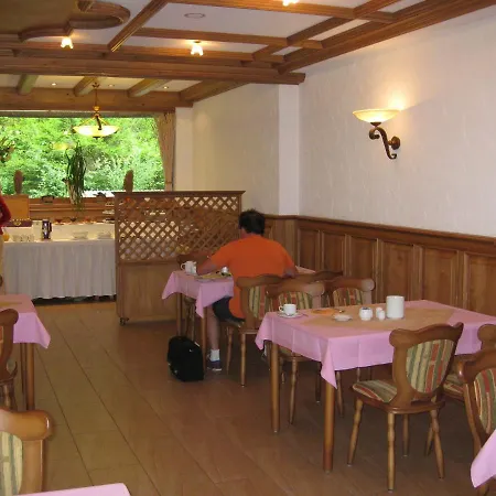 Otel Waldhotel Ehrental 3*