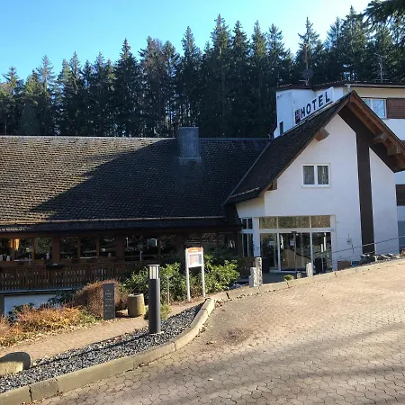 Waldhotel Ehrental 3*