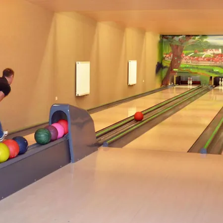 Waldhotel Ehrental 3*
