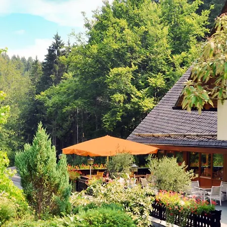 Waldhotel Ehrental Otel