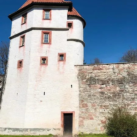 Hotel Waldhotel Ehrental 3*