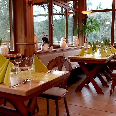 Waldhotel Ehrental 3*