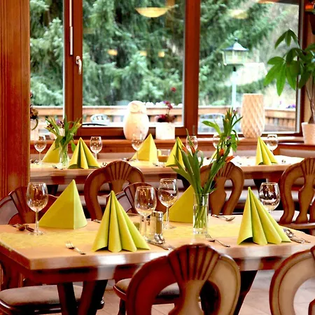 Waldhotel Ehrental Otel 3*
