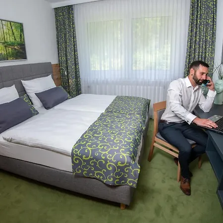 Otel Waldhotel Ehrental 3*