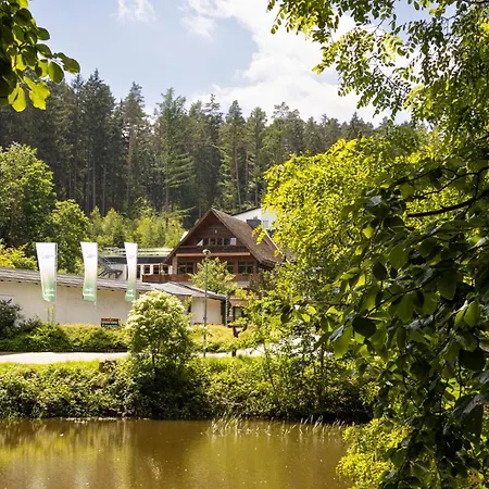 Hotell Waldhotel Ehrental 3*