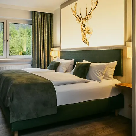 Waldhotel Ehrental Otel