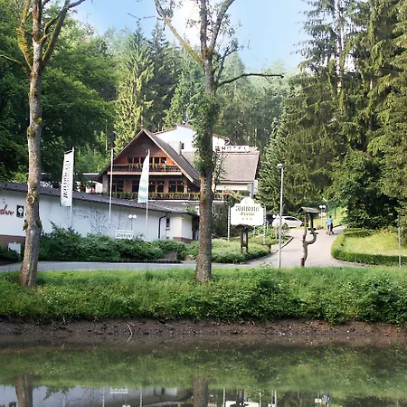 Hotell Waldhotel Ehrental 3*