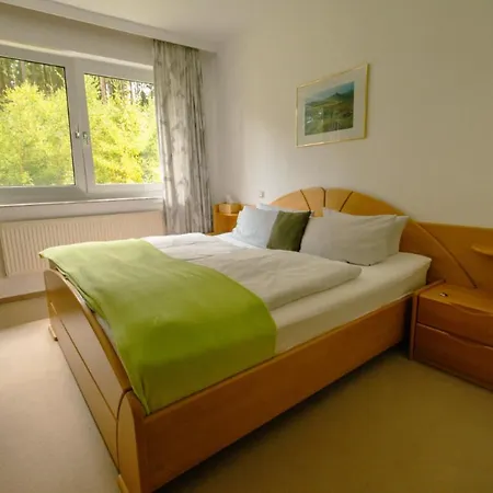 Waldhotel Ehrental Hotel 3*