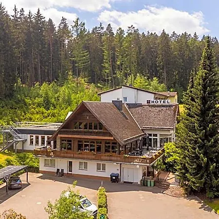 Hotel Waldhotel Ehrental