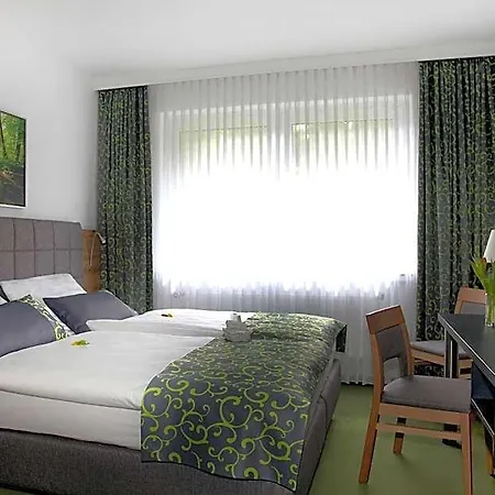 Waldhotel Ehrental Hotel 3*