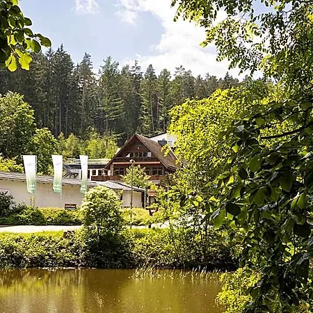 Hotel Waldhotel Ehrental 3*