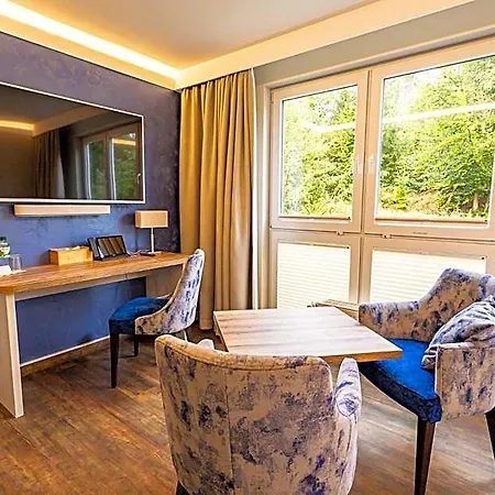 Hotel Waldhotel Ehrental