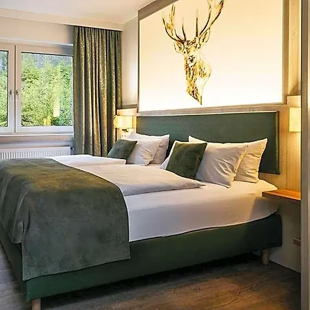 Hotel Waldhotel Ehrental 3*