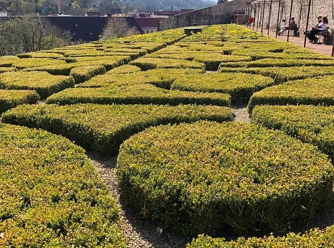 Waldhotel Ehrental Otel Schmalkalden