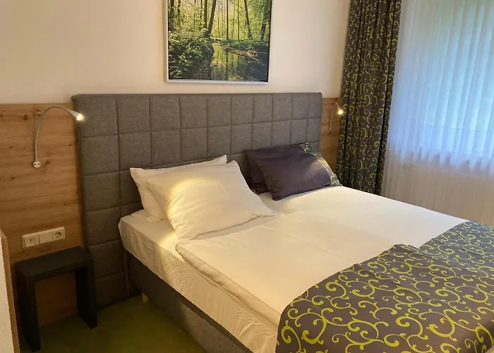 Waldhotel Ehrental 3* Schmalkalden