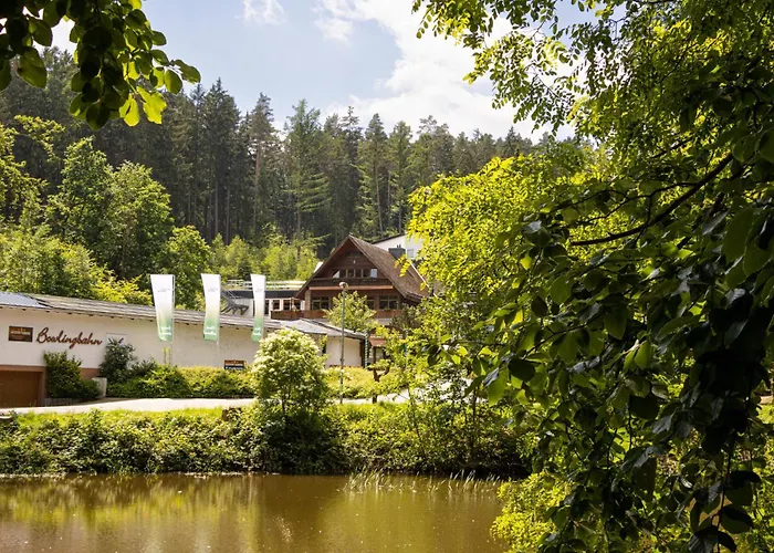 Otel Waldhotel Ehrental 3*