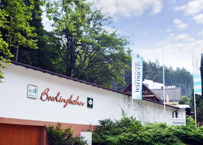 Hotel Waldhotel Ehrental 3*