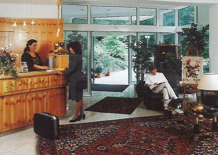 Otel Waldhotel Ehrental 3*